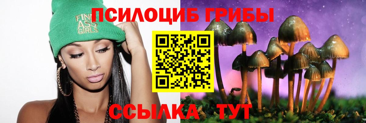 Тихорецк  Псилоцибиновые грибы мухоморы  Вход с VPN 